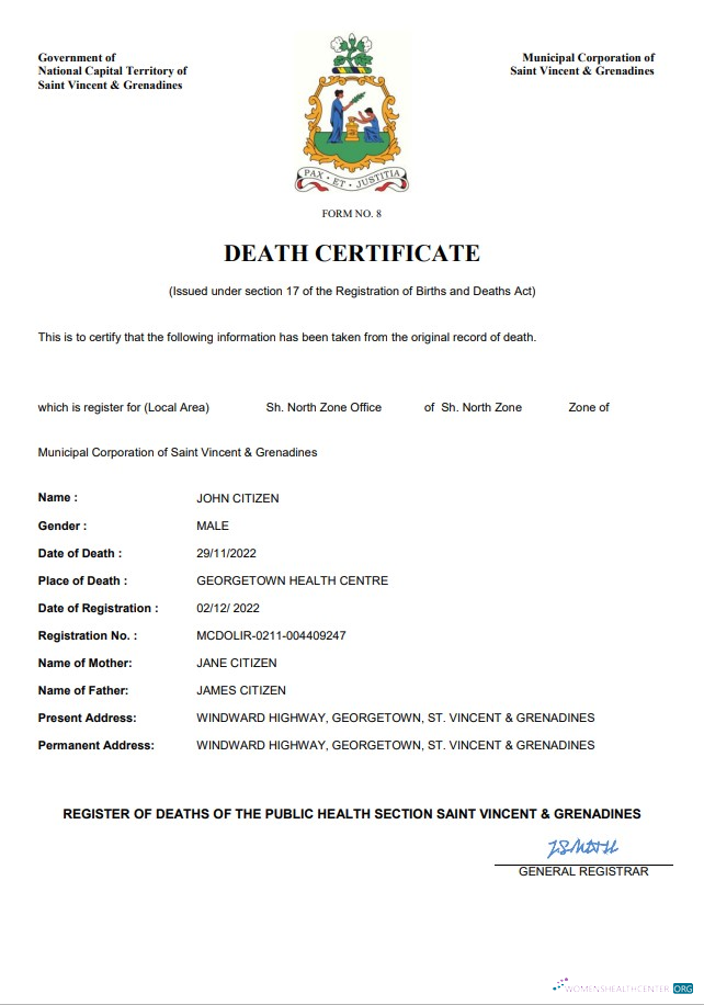 Download Saint Vincent and the Grenadines vital record death certificate Word and PDF template Photoshop template
